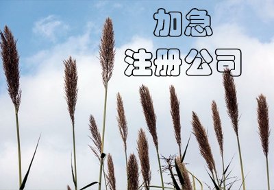 上海公司注册都有哪些步骤？